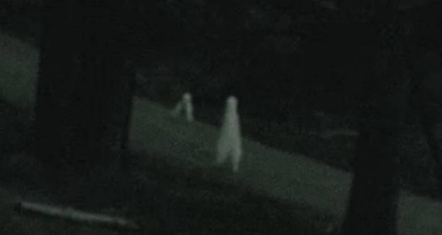 fresno california pants shaped monster